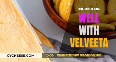 The Perfect Cheese Partners for Velveeta