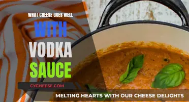 Cheese and Vodka Sauce: Perfect Pairing for Pasta