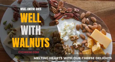 Crunchy Walnuts and Cheesy Delights: Perfect Pairing