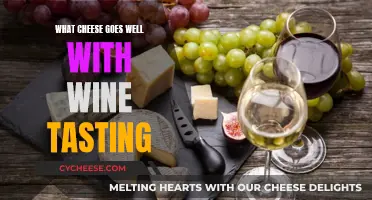 Cheese and Wine: Perfect Pairing for Palate Pleasures