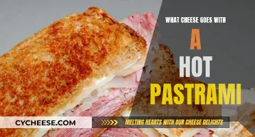 Hot Pastrami's Perfect Cheesy Pair