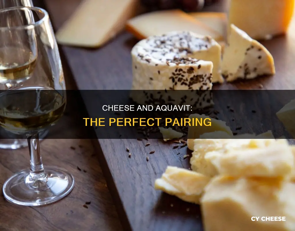 what cheese goes with acquavit