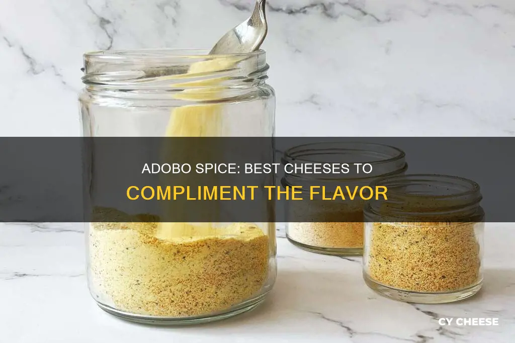 what cheese goes with adobo spice