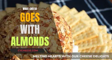 Cheese and Nut Pairing: Almonds and Their Cheesy Companions