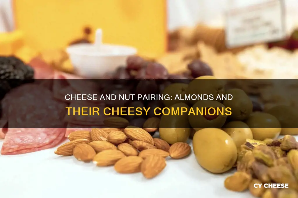 what cheese goes with almonds