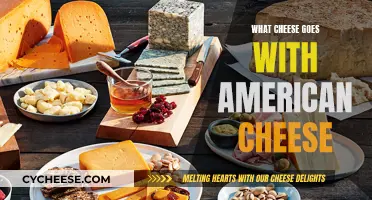 American Cheese Partners: Melting the Perfect Combination