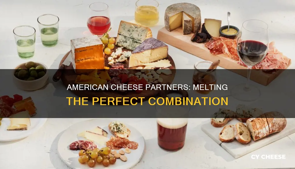 what cheese goes with american cheese