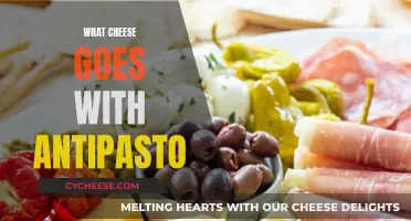 Cheese and Antipasto: Perfect Pairing for a Delicious Appetizer