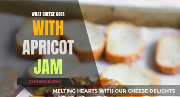 Cheese and Apricot Jam: A Perfect Pairing Adventure