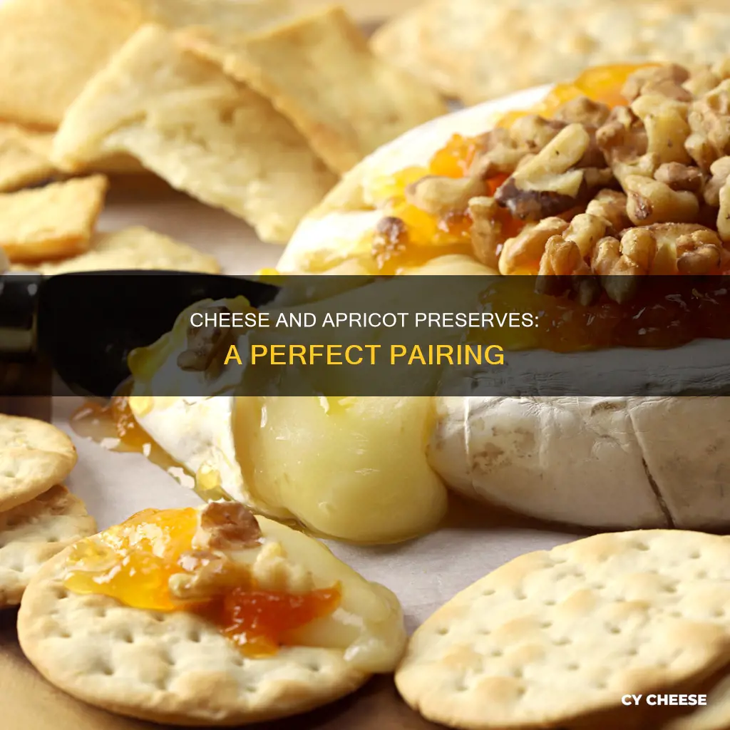 what cheese goes with apricot preserves