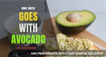 Avocado and Cheese: Perfect Pairing Ideas