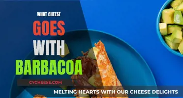 Cheese and Barbacoa: Perfect Pairing for a Flavorful Dish