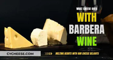 Cheese and Barbera Wine: Perfect Pairing Partners