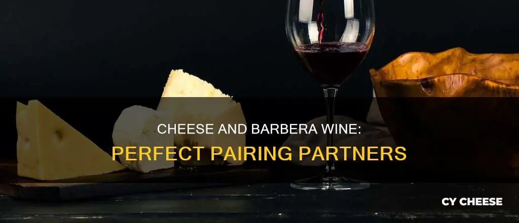 what cheese goes with barbera wine