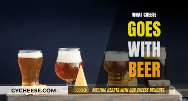 Cheese and Beer: The Perfect Pairing Guide