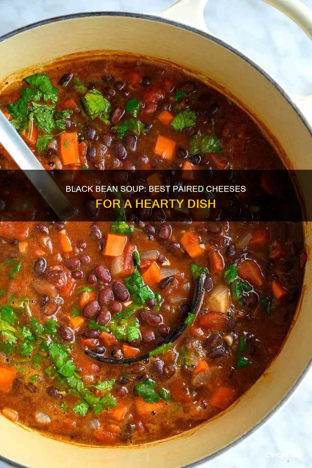 what cheese goes with black bean soup