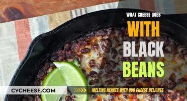 Black Beans' Best Cheesy Companions: A Flavor Guide