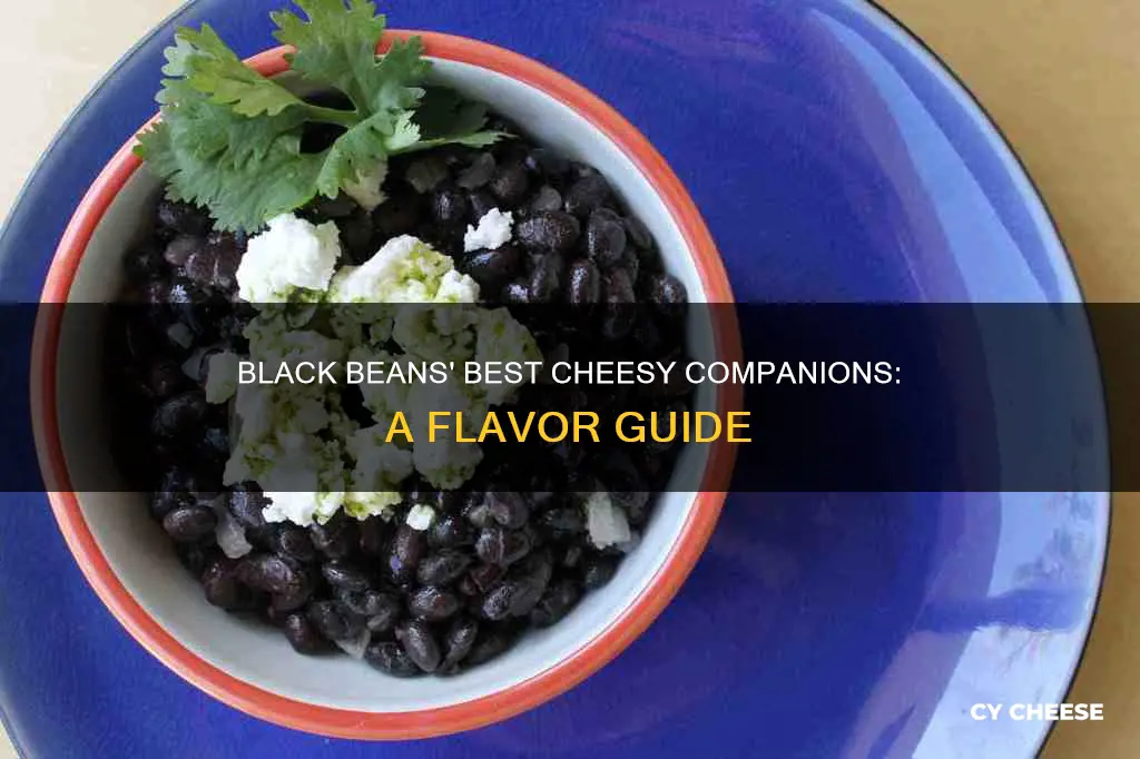 what cheese goes with black beans