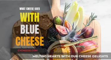 Blue Cheese Companions: Perfect Pairing Cheeses