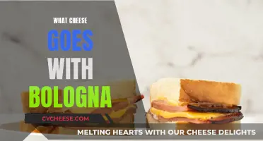 The Perfect Cheese Pairings for Bologna Meat