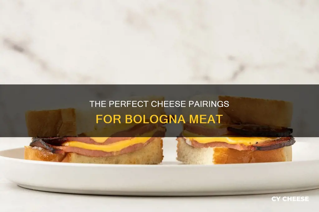 what cheese goes with bologna