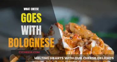 Cheese and Bolognese: The Perfect Melty Combination