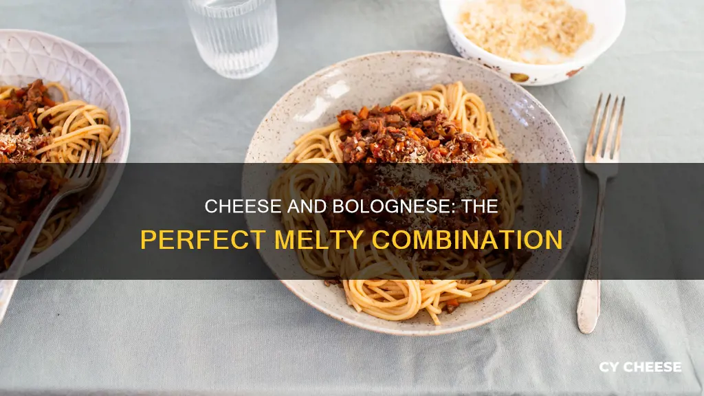 what cheese goes with bolognese