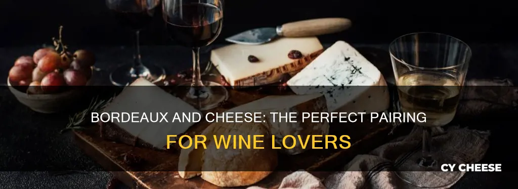 what cheese goes with bordeaux