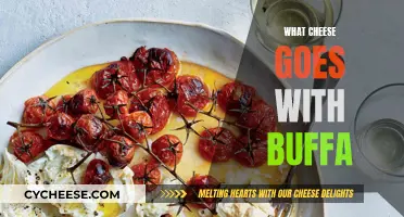 Cheese and Buffa: Perfect Pairing for a Delicious Dish