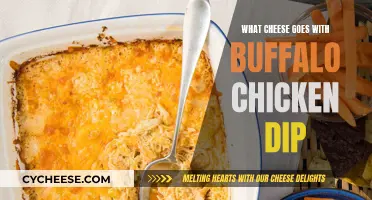 Cheese Pairings for Buffalo Chicken Dip: The Best Combinations