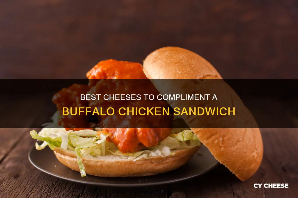 what cheese goes with buffalo chicken sandwich