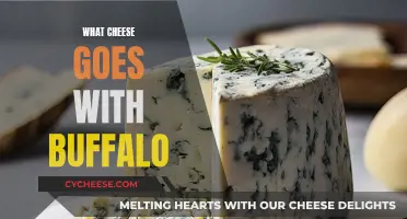 Buffalo's Best Cheese Companion: Finding the Perfect Pair