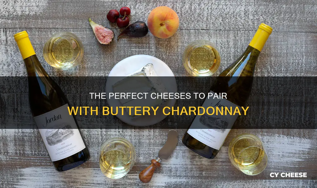 what cheese goes with buttery chardonnay