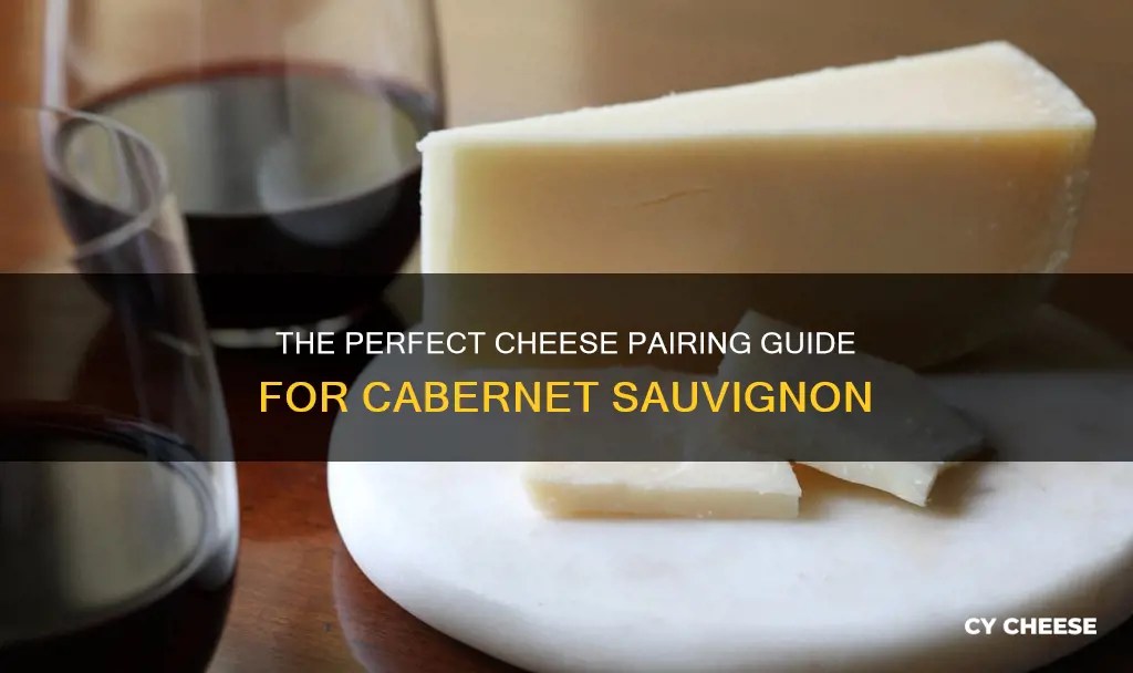 what cheese goes with cabernet sauvignon