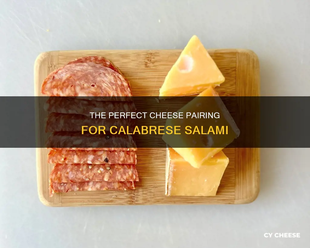 what cheese goes with calabrese salami