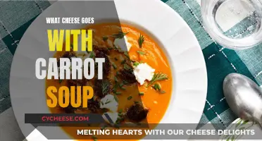 Cheese and Carrot Soup: Perfect Pairing for a Cozy Meal