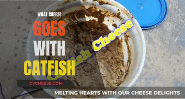 Catfish and Cheese: Perfect Pairing for a Delicious Dish