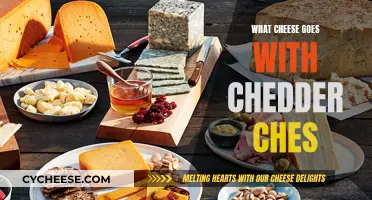 The Perfect Pair: Cheeses That Complement Cheddar