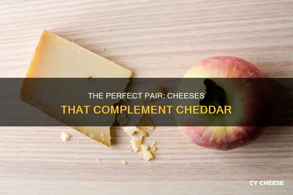 what cheese goes with chedder ches