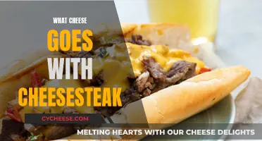 Cheesesteak Perfection: Finding the Right Cheese for Your Taste