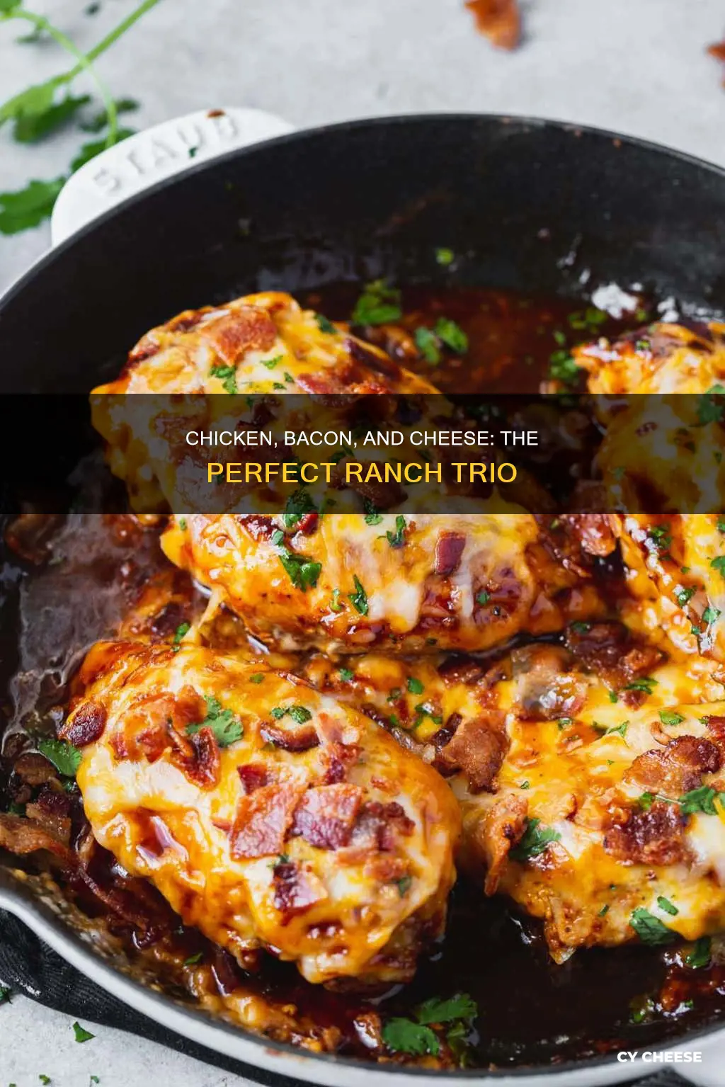 what cheese goes with chicken bacon ranch