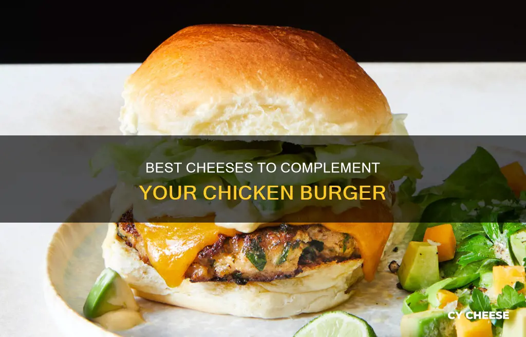 what cheese goes with chicken burger