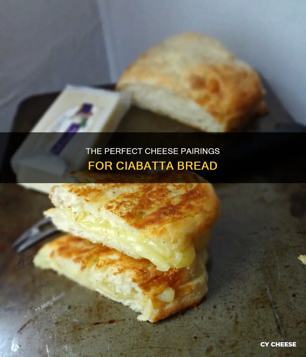 what cheese goes with ciabatta