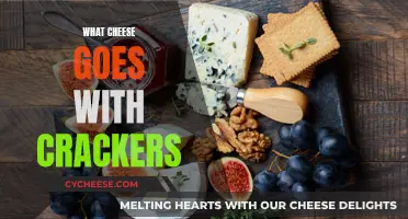 The Perfect Cheese and Cracker Pairing Guide