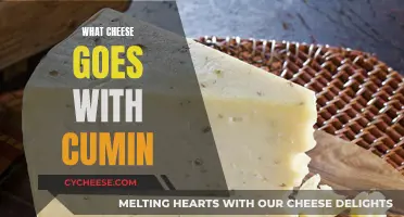 Cumin's Cheesy Companions: Exploring Flavorful Matches