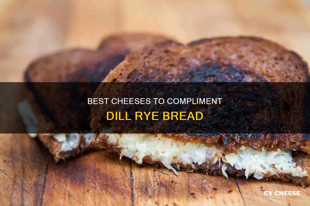 what cheese goes with dill rye bread