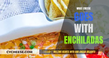 Cheese and Enchiladas: The Perfect Melty Combination