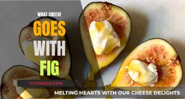 Cheese and Fig: Perfect Pairing for a Sweet Treat