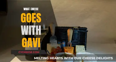 Cheese and Gavi: A Perfect Pairing Guide