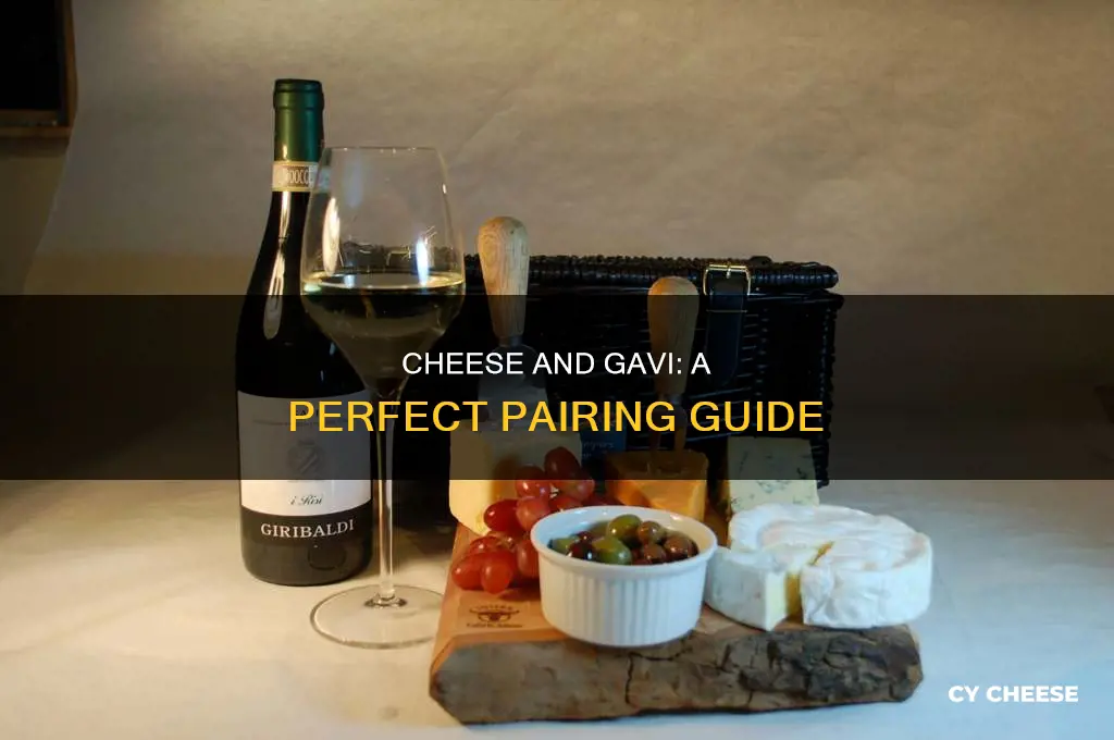 what cheese goes with gavi